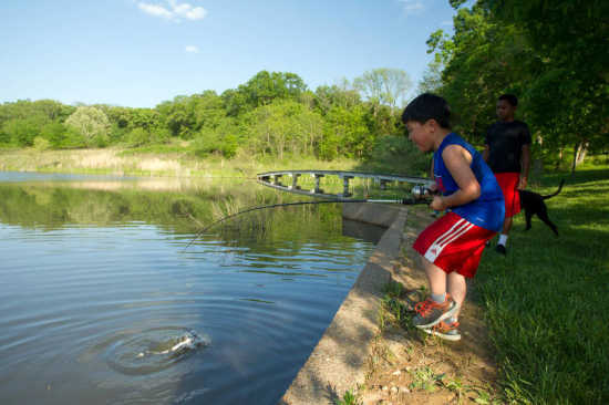 Column: Ken White: Catfish angling heats up during summer months